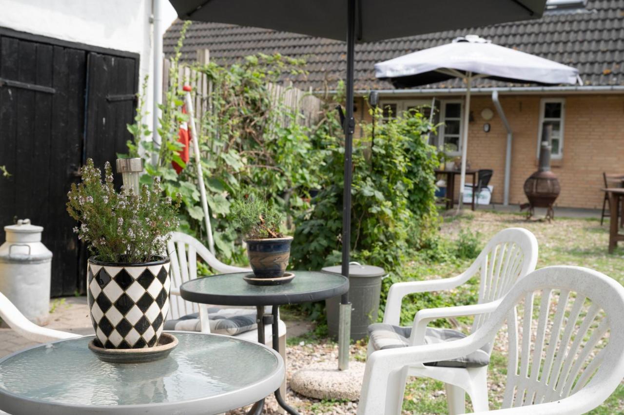 Skortskær Bondegårdsferie Bed and Breakfast Havnsø Exteriör bild