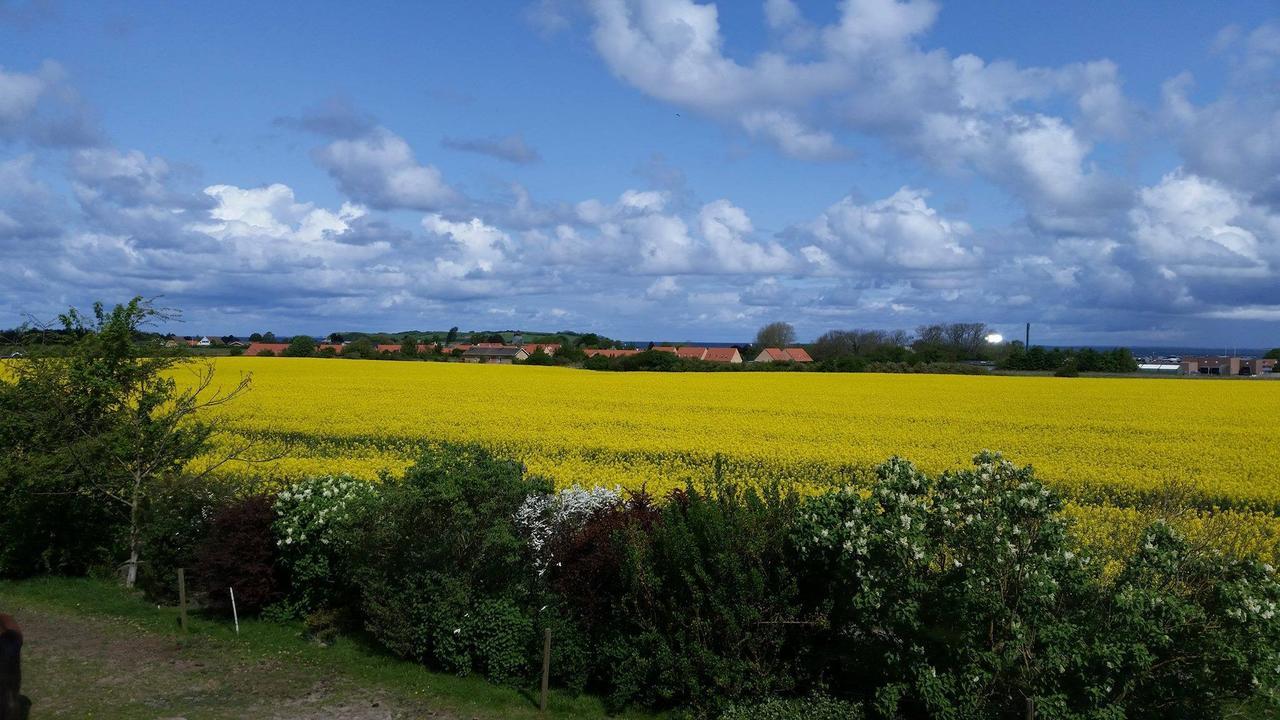 Skortskær Bondegårdsferie Bed and Breakfast Havnsø Exteriör bild