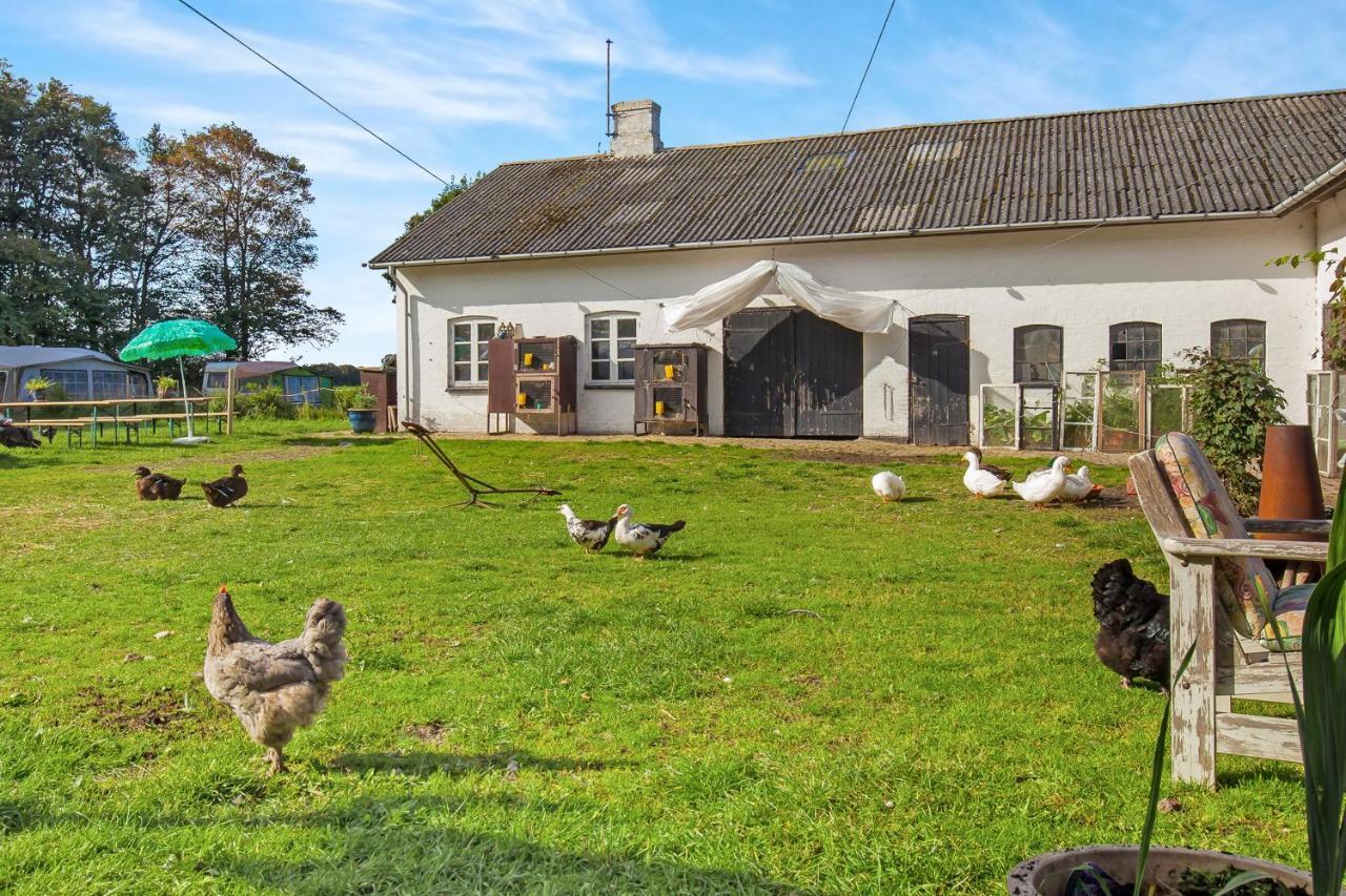 Skortskær Bondegårdsferie Bed and Breakfast Havnsø Rum bild